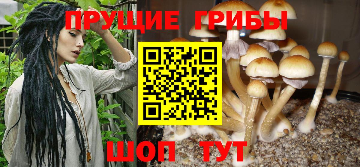 Галлюциногенные грибы мухоморы  Галлюциногенные грибы ЛСД  Вход с VPN  Южно-Сахалинск 